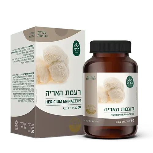 רעמת האריה ברא צמחים / Hericium Erunaceus