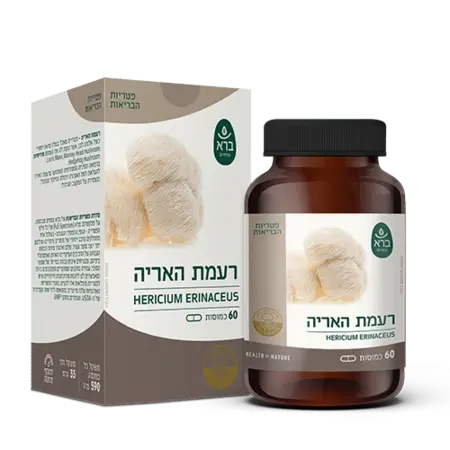 רעמת האריה ברא צמחים / Hericium Erunaceus
